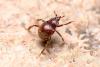 279551 – Photo : Alberto J. Narro Martin – Espagne
